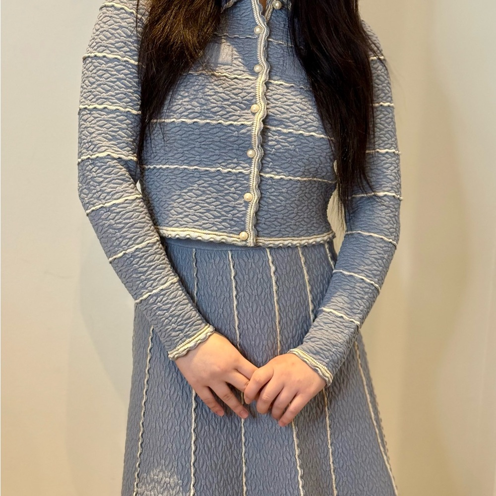 NWT Sandro Infinity Blue Pearl Cardigan & Skirt